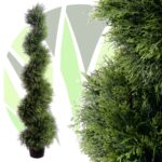 Tuia columnară ‘Spiralis’2_plantesiflori.ro